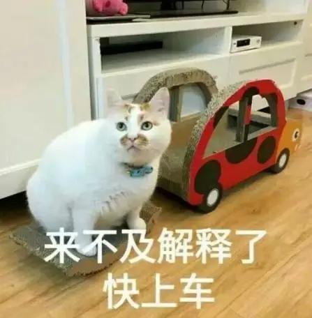机构成本控制策略_股票十倍杠杆_10倍牛股市场分析