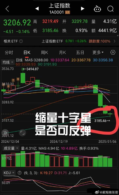 稀土概念股涨幅_股市大盘_A股震荡整理
