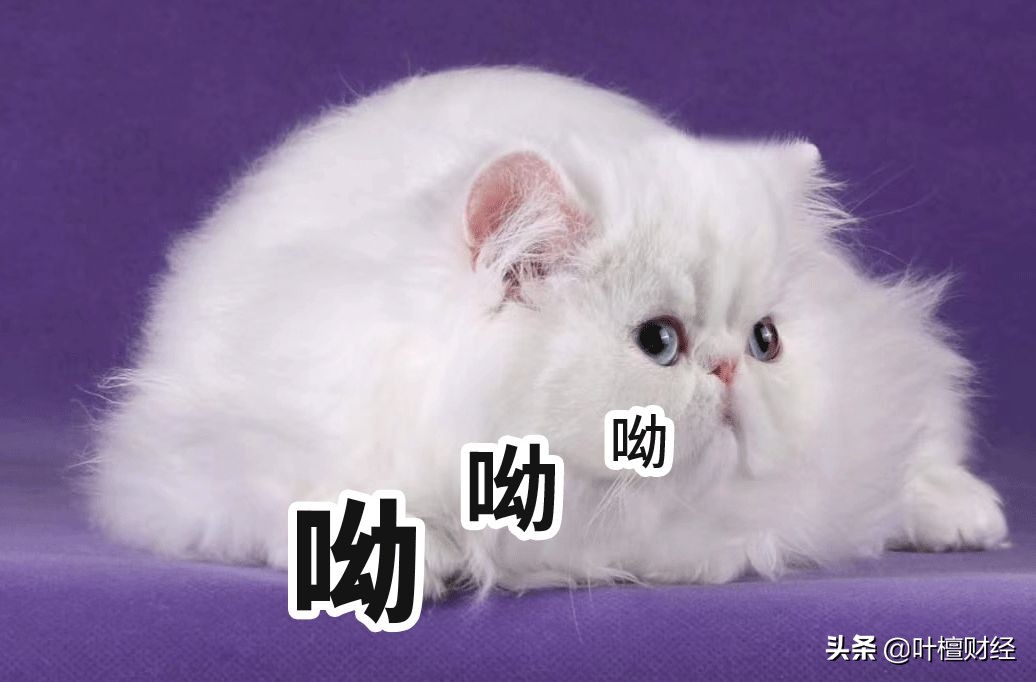 银行理财子公司净资本管理办法_银行理财子公司入市_什么是加杠杆炒股