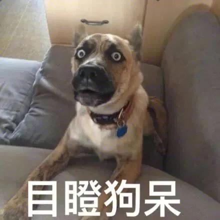 配资查询_场外配资风险 高杠杆炒股后果 融资炒股注意事项
