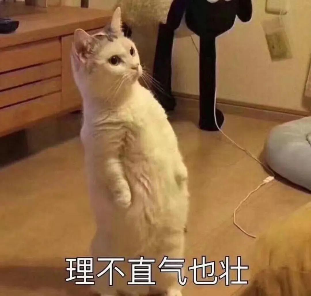 配资查询_场外配资风险 高杠杆炒股后果 融资炒股注意事项