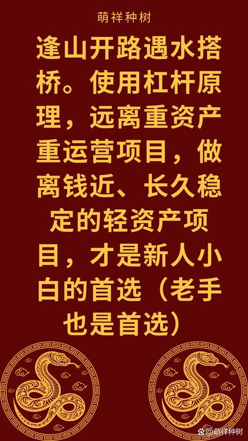 融资融券经验分享_两融交易风险控制_股票的杠杆