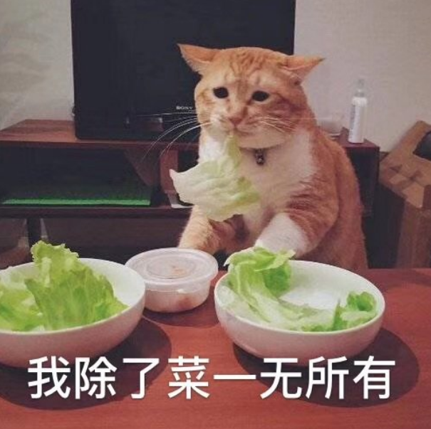 配资股_警惕朋友圈股神借钱教炒股_最近股市大涨下的炒股现象