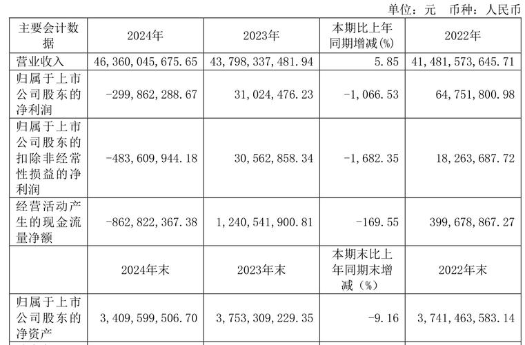 新宝股份2024年年报_新宝股份海外市场增长分析_新宝策略
