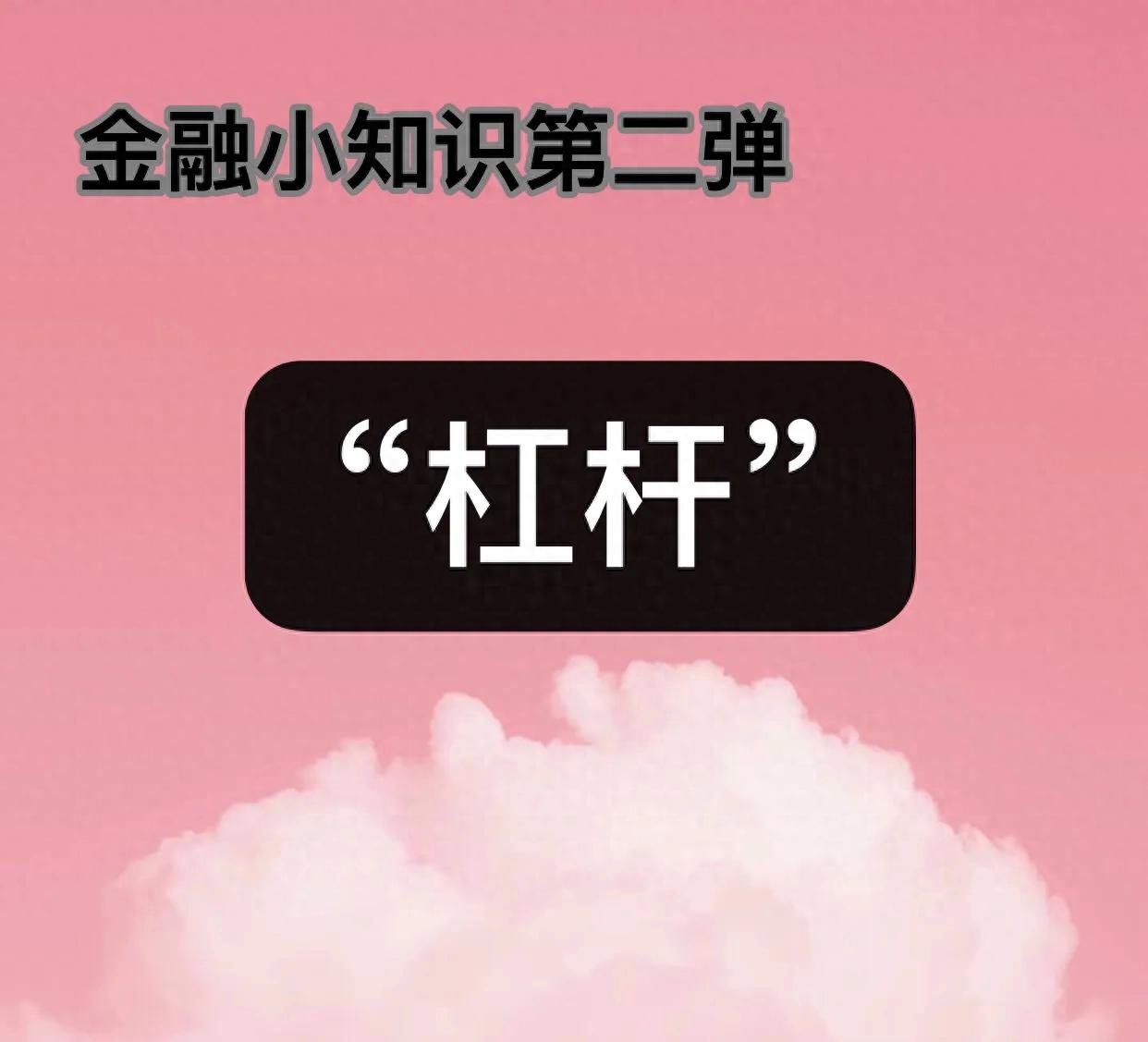 杠杆在金融和投资领域的应用_金融杠杆是什么意思_股票融资融券中的杠杆效应