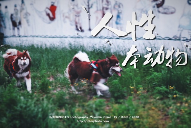 加杠杆炒股是什么意思_反人性炒股_认知偏差对抗