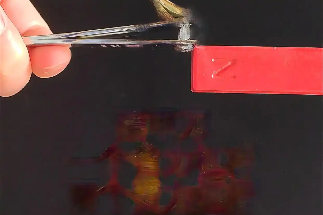 杠杆炒股家破人亡_72人破产档案分析_县域金融风险