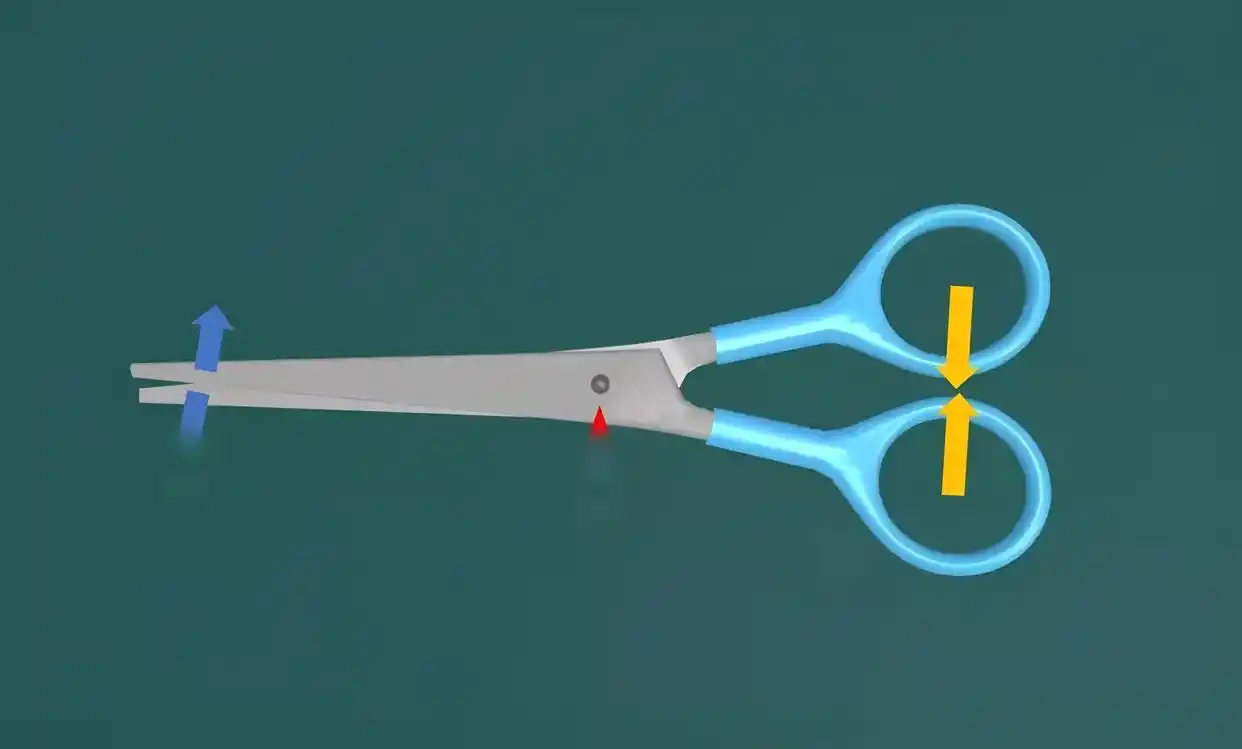 72人破产档案分析_杠杆炒股家破人亡_县域金融风险