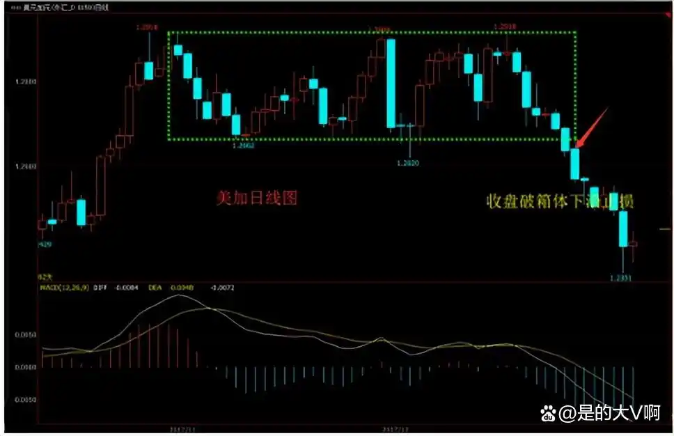 止损技巧与策略_杠杆炒股家破人亡_股市投资失败教训