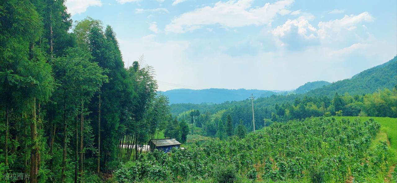 适合你的股票标准_好股票的定义_股票最稳的赚钱方法