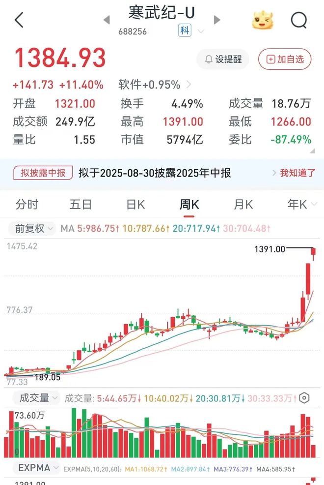 寒武纪投资价值分析_A股散户投资_股票配资资讯