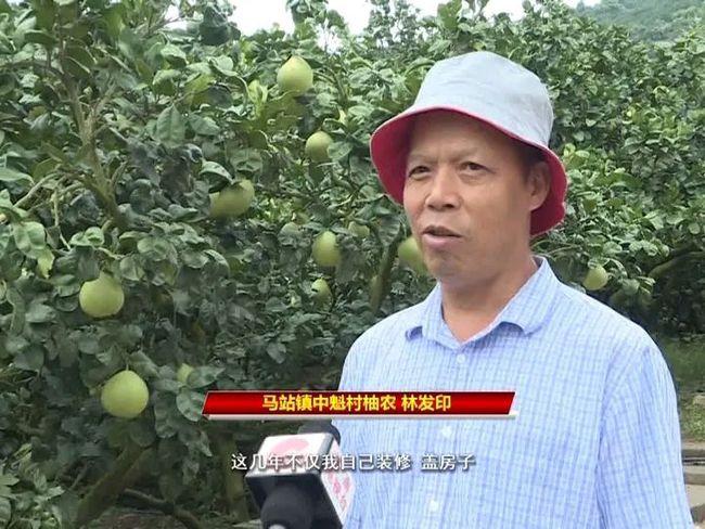 炒股真能赚钱吗？看看这个村的老乡怎么说