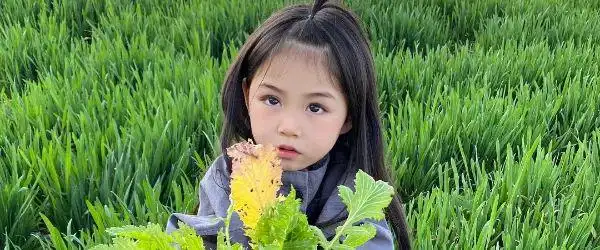 股票杠杆怎么开通_高龄老人加杠杆炒股 券商追债 两融业务年龄限制